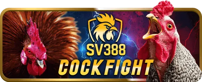 Các bước tham gia chương trình VIP